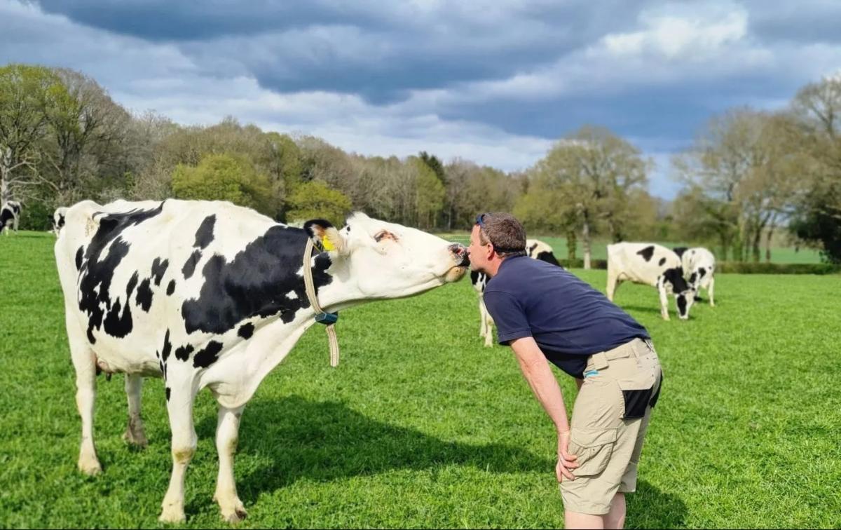 Chiddingstone Dairy - Photo 1 of 3