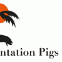 Plantation Pigs
